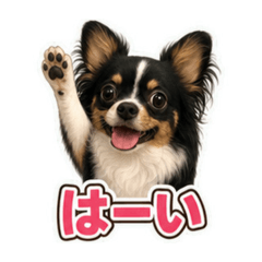 yusuke_20260808173217