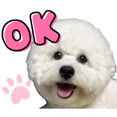 coco_20260808192206