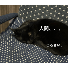 kapymg_20260808192812