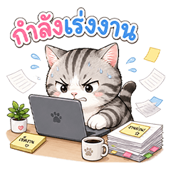 Striped cat, working day