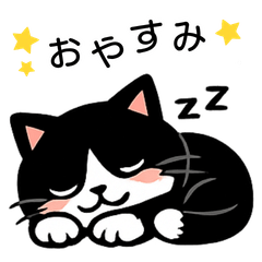 Hatiware Cat Elle