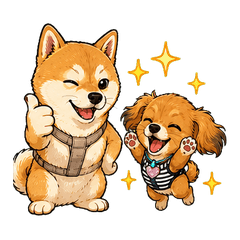 Shiba_Chiwakkus_Kansai