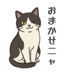 aya_20260807200437