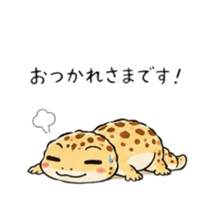 R_20260807213441