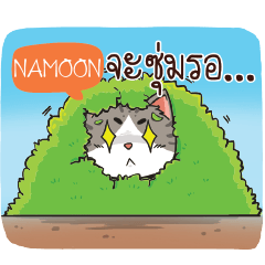 NAMOON cheeky cat e