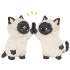 HappySiameseCat