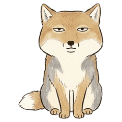 Melo-Anis: Tibetan Sand Fox Book