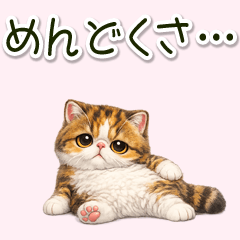 Lazy Adorably Grumpy Cat