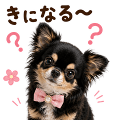 DOG  GOOD  Sticker311