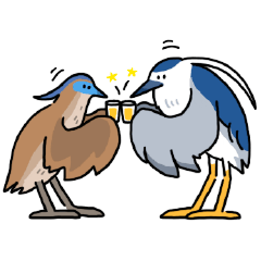 Daily Life of Taiwan Birds