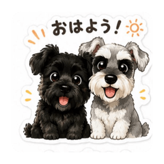 koyo0416_20260808211144
