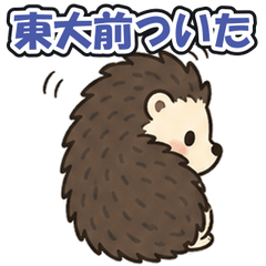 Todaimae Station: Tsundere Hedgehog