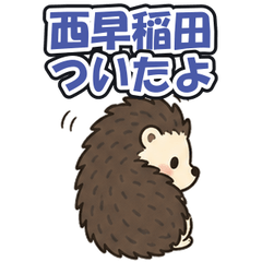 Nishi-waseda Station: Tsundere Hedgehog