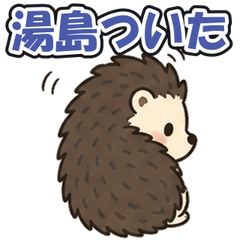 Yushima Tsundere Hedgehog