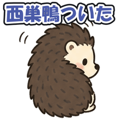 Nishi-sugamo: Tsundere Hedgehog