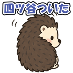 Yotsuya: Tsundere Hedgehog