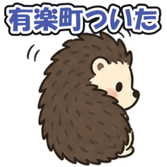 Yurakucho: Tsundere Hedgehog