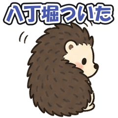 Hatchobori: Tsundere Hedgehog