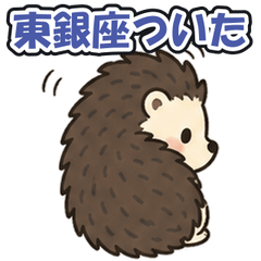 Higashi-Ginza: Tsundere Hedgehog