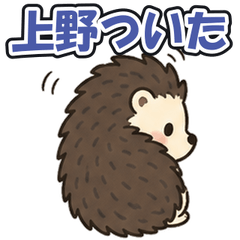 Ueno Station: Tsundere Hedgehog