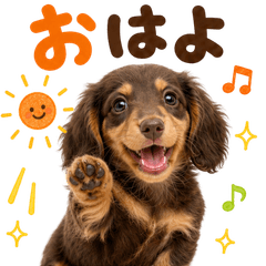 Cute Long-Haired Mini Dachshund Stickers