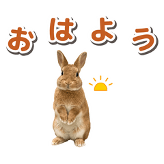 Mochiko and Family: Everyday Messages