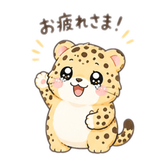 miya_20260808113617