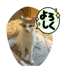 Yuka_20260808203551