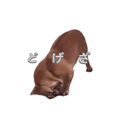 aya_20260808205304