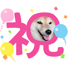 teruteru_20260808205821