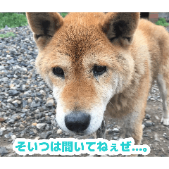 RYOTA ISHIBASHI_20260808204737