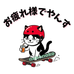 Nyasuke the Red-Helmet Tuxedo Cat