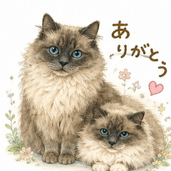 Fluffy Cats: Cozy Stickers