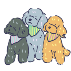 Whimsy Poodle