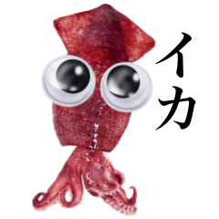 "Googlys" Baby squid