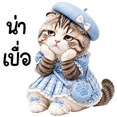 cute scottish fold cat in blue dress