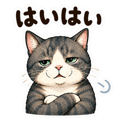 Santan's Funny Cat Reactions
