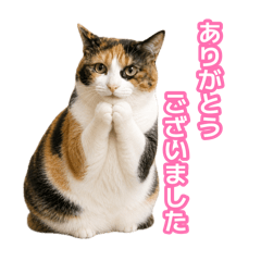 miki_20260808224549