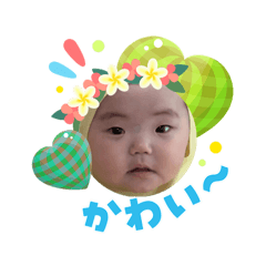 anak_20260808225306
