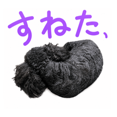 hiziki_20260808225453