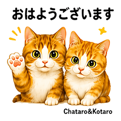Chatakota Fun Stickers Vol01