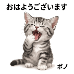 Ho'oponopono Daily Stickers Vol01