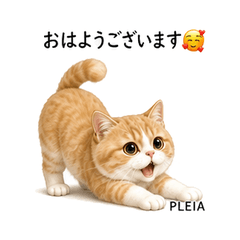 Purea Daily Life Stickers Vol01