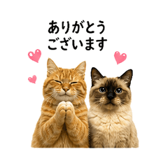 Two Pets Daily Stickers Vol01