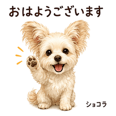Top Cute Choco Stickers Vol01