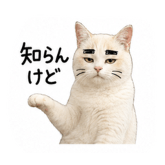kitsusa4_20260808164610