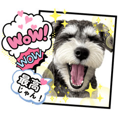 mayu_20260809082505