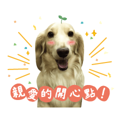 胖胖尼尼