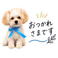 nina_20260809095421
