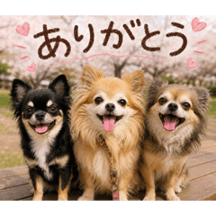 tonchan_20260809095339
